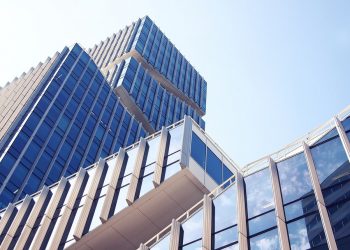 Wealth Management For Everyone