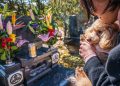 How To Choose The Best Pet Cremation Services