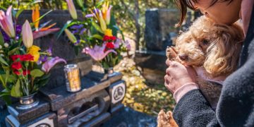 How To Choose The Best Pet Cremation Services