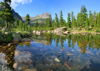 Tanzania’s Nature Abounds Beyond Imagination