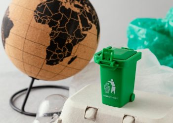 The Renaissance of Waste: Unleashing the Power of Innovation