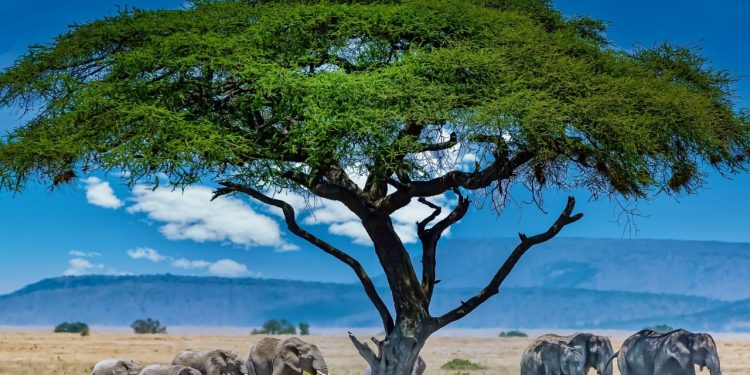 Europe’s Untraditional Nature Destinations