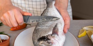 What is pangasius fish and how to cook it?