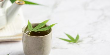 How to Ensure Your Cannabis Stays Fresh and Safe