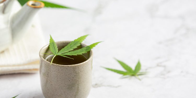 How to Ensure Your Cannabis Stays Fresh and Safe