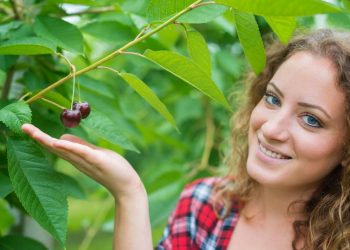 FNB.COFFEE: Your Trusted Supplier of Green Coffee Beans Imported from Indonesia