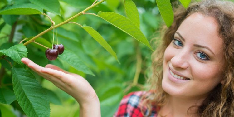 FNB.COFFEE: Your Trusted Supplier of Green Coffee Beans Imported from Indonesia