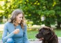 Jerky Dog Treats: Are They Beneficial for Your Dogs?