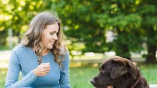 Jerky Dog Treats: Are They Beneficial for Your Dogs?