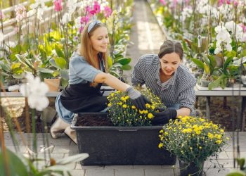 Front Yard Landscaping: Boost Your Home’s Aesthetic With the Right Design