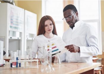 Controlling Cellular Behavior: Advances in Gene Switch Platforms