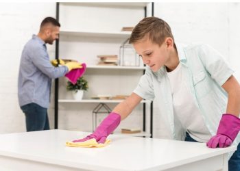 House Cleaning Bellingham WA – How to Get Rid of Ants for Good