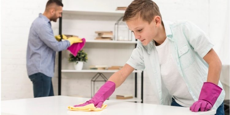 House Cleaning Bellingham WA – How to Get Rid of Ants for Good