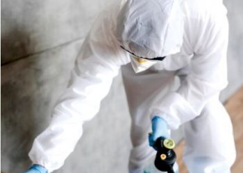 “The Importance of Mold Inspection: Safeguarding Health and Property”