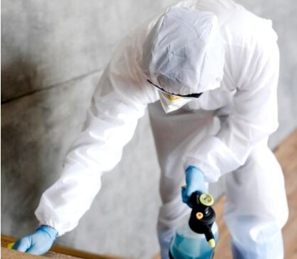 “The Importance of Mold Inspection: Safeguarding Health and Property”