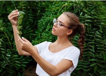 Navigating Cannabis Consumption Safely on Holiday in Thailand