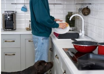 Revamping Your Kitchen Space: Top 5 Faucet Designs to Consider in 2024