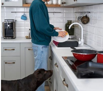 Revamping Your Kitchen Space: Top 5 Faucet Designs to Consider in 2024