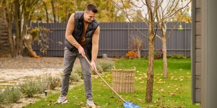 Perth Artificial Grass: The Carefree Solution for a Green, Low-Maintenance Lawn