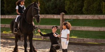 The Best Hoof Conditioner for Your Equine Friend