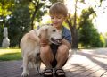 Kid-Approved Canines: Best Dog Breeds for Children