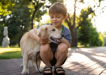 Kid-Approved Canines: Best Dog Breeds for Children