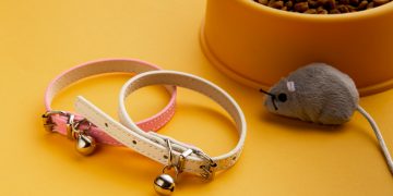 Pamper Your Pets with Ambiz: Quality Products for Happy Tails and Wagging Hearts