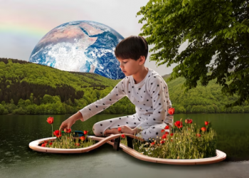 Reducing Carbon Footprints with AI: Steps Towards a Cleaner Planet