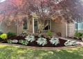 Unveiling Spring Landscaping Designs for Your Madison Residence