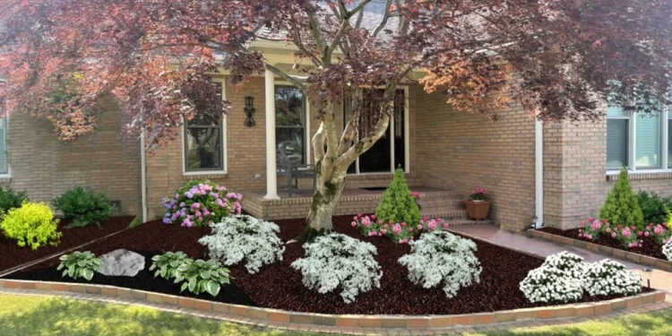 Unveiling Spring Landscaping Designs for Your Madison Residence