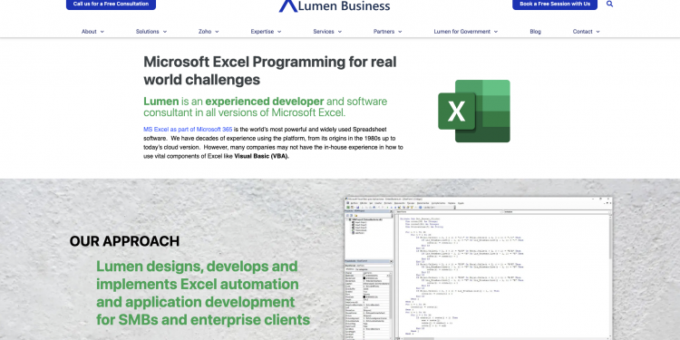 Why Excel Consultants & Analysts Are Vital for Your Business’s Success