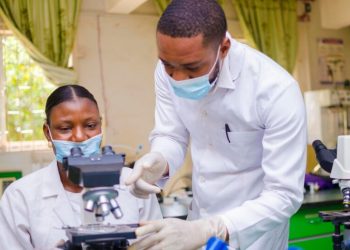 Enhancing Tissue Engineering with Advanced Materials Analysis