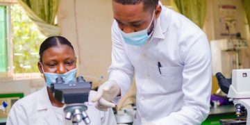 Enhancing Tissue Engineering with Advanced Materials Analysis