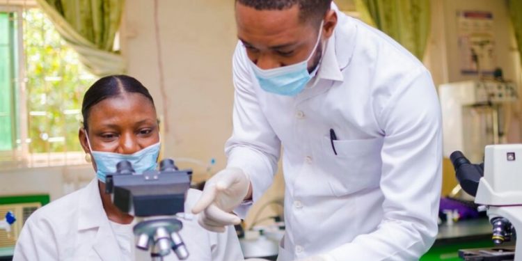 Enhancing Tissue Engineering with Advanced Materials Analysis