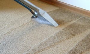 Revitalizing Your Space: North Shore Carpet Cleaning