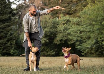 Understanding Canine Behavior: Insights from a Certified Behavior Consultant