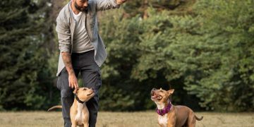 Understanding Canine Behavior: Insights from a Certified Behavior Consultant