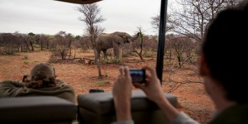 Experience the Best of Kenya Safari on a Shared Budget!