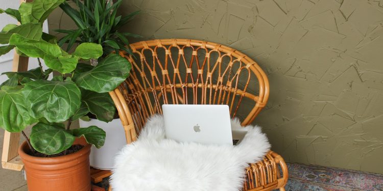 Creel Taxidermy: Preserving Nature’s Beauty