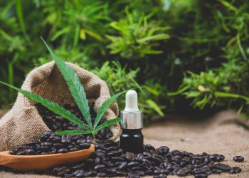 Embracing Full Spectrum CBD Oil: A Journey to Holistic Wellness