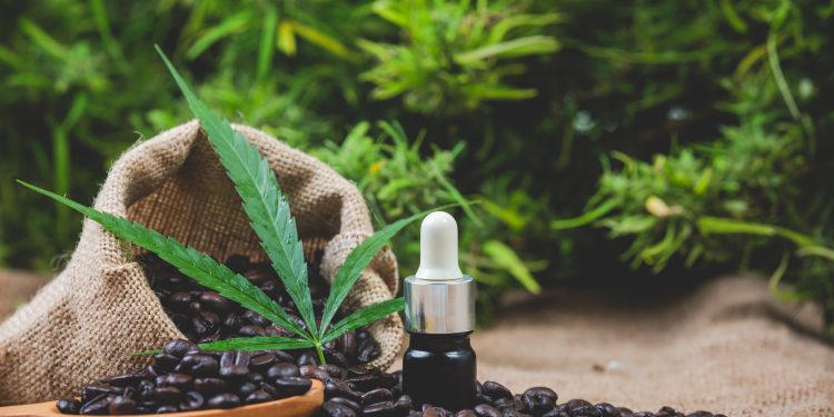 Embracing Full Spectrum CBD Oil: A Journey to Holistic Wellness
