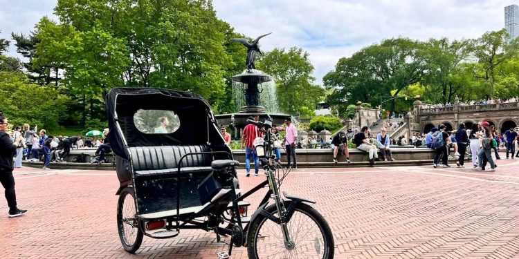 Discover Central Park Like Never Before with a Pedicab Tour