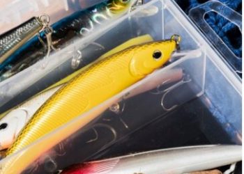 Top Anglers Sportfishing Charters Cabo has been awarded the designation of Trusted Charter, 2024.