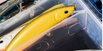 Top Anglers Sportfishing Charters Cabo has been awarded the designation of Trusted Charter, 2024.