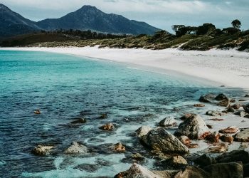 Exploring Hobart City by ferry