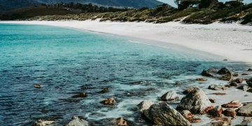 Exploring Hobart City by ferry