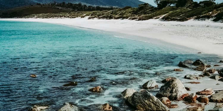 Exploring Hobart City by ferry