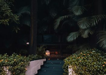 The Evolution of Residential Spaces in Bangalore: From Villa Plots to Luxury Apartments