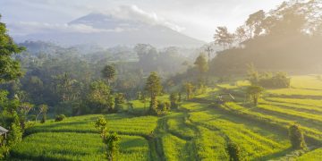 Discover Bali’s Paradise at Grand Hyatt Bali