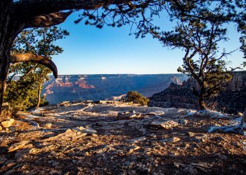 Nestled in the heart of South Africa’s Western Cape